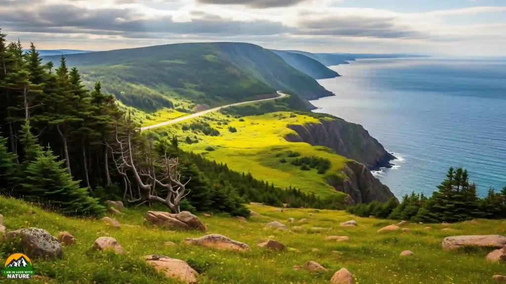 Cape Breton Highlands National Park, Nova Scotia: Celtic Rhythms and Cliffside Trails